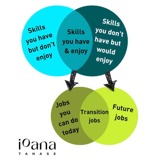 A diagram mapping skills to potential jobs next to the logo ioana tanase.